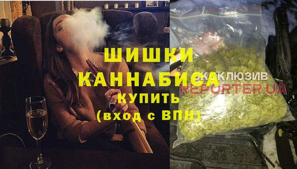 шишки Алзамай